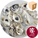 pH Correction Media - Natural Oyster Shells - 8946PH